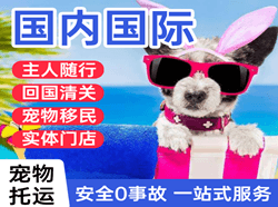 义乌国际宠物托运 【国